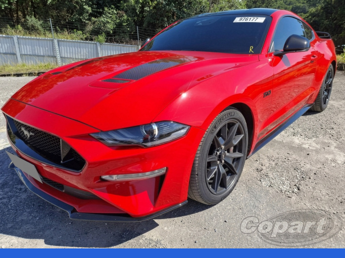 FORD MUSTANG 19/19 FORD MUSTANG 19/19